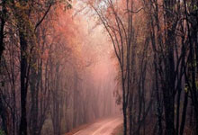 威士伯锦标赛霍夫兰等三人领先 托马斯俞俊安T5.