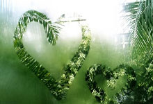 亚星体育：[图]张帅2-0击败凯斯勒 顺利晋级澳网女单次轮.